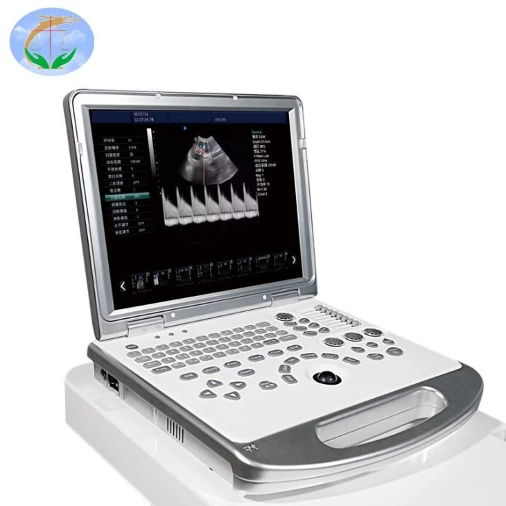 4D Digital Ultrasound Transducer 4D Digital Ultrasound Transducer
