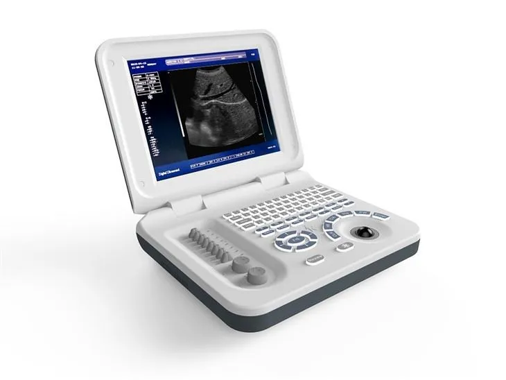 Fullständigt digitalt bärbart LED-ultraljud