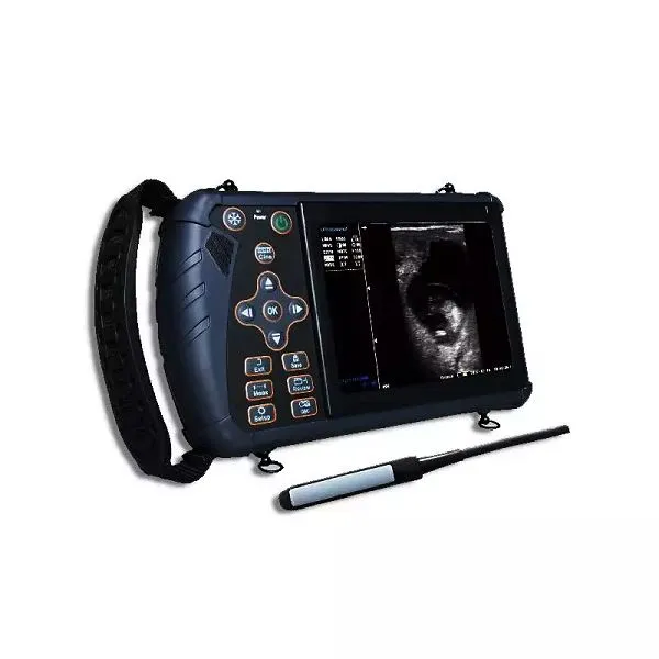 Medicinsk avbildningsutrustning Bärbar veterinär ultraljud för djurbruk