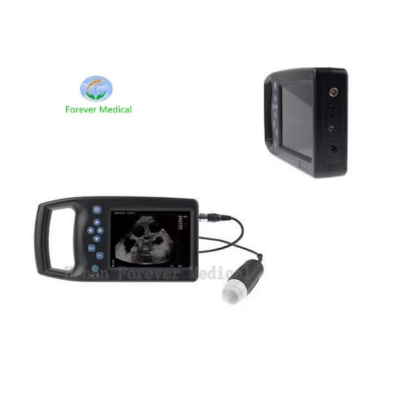 ultrasound handheld device ultrasound handheld device